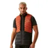Regatta Leedre Hybrid Weste