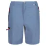 Regatta Leesville Ii Kurze Hose