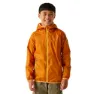 Fox / bright marigold