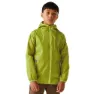 Green green / wild lime