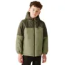 Olive night / oil green