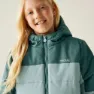 Regatta Lofthouse Jacke