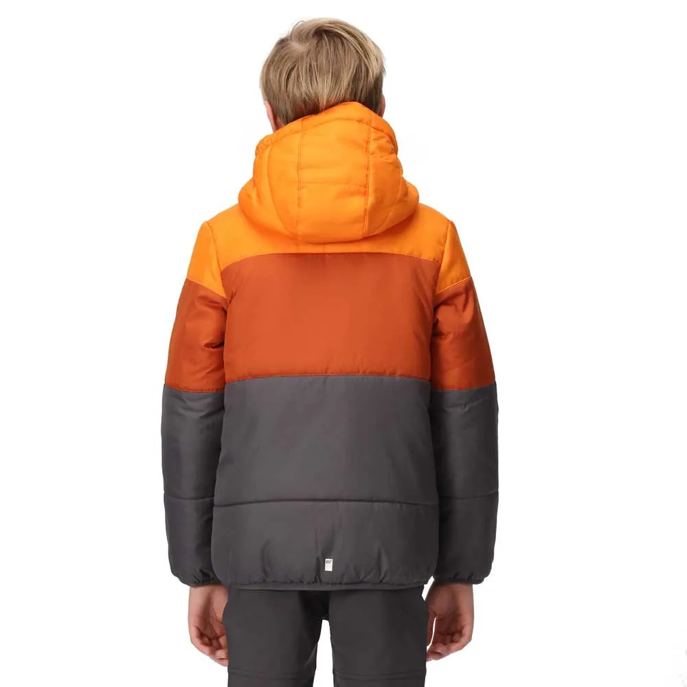 Regatta Lofthouse Vii Jacke Regatta Lofthouse Vii Jacke
