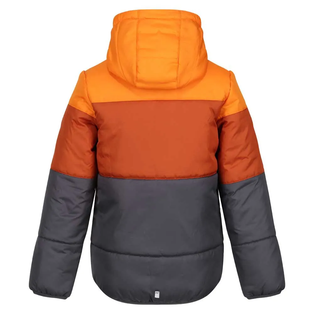 Regatta Lofthouse Vii Jacke Regatta Lofthouse Vii Jacke
