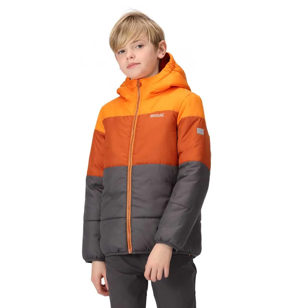 Regatta Lofthouse Vii Jacke Regatta Lofthouse Vii Jacke