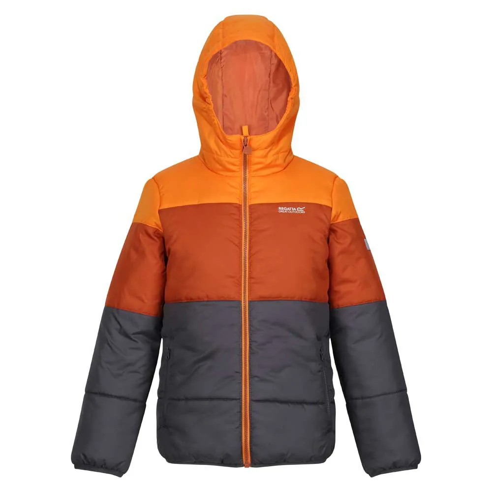 Regatta Lofthouse Vii Jacke Regatta Lofthouse Vii Jacke