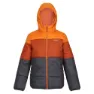 Regatta Lofthouse Vii Jacke