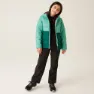 Regatta Lofthouse Viii Jacke