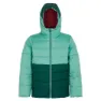 Regatta Lofthouse Viii Jacke