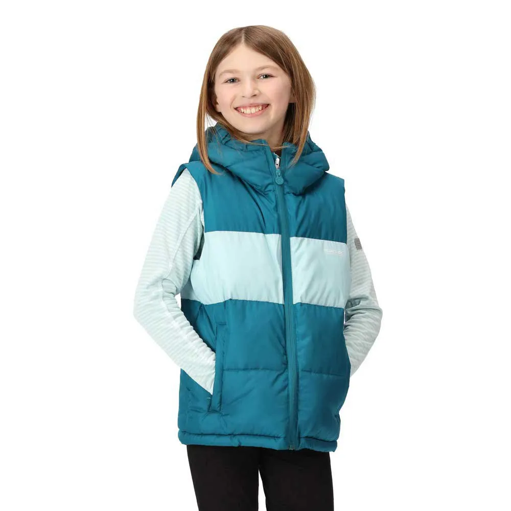 Regatta Lofthouse Weste Regatta Lofthouse Weste