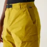 Regatta Mallen Kurze Hose