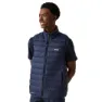 Navy / fox