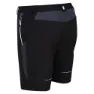 Regatta Mountain Ii Kurze Hose