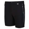 Regatta Mountain Ii Kurze Hose