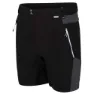 Regatta Mountain Kurze Hose