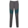 Regatta Mountain Regular Hosen