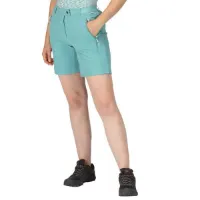 Regatta Mountain Shortsii Kurze Hose Regatta Mountain Shortsii Kurze Hose