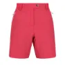 Regatta Mountain Shortsii Kurze Hose