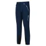 Regatta Mountain Winter Regular Hosen, Mnltdnm / mnlt