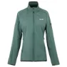 Spruce green