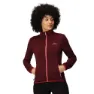 Burgundy / rumba red