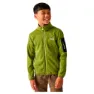 Green green / nephrite green