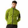 Grenoble green
