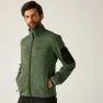 Oil green 2