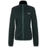 Spruce green