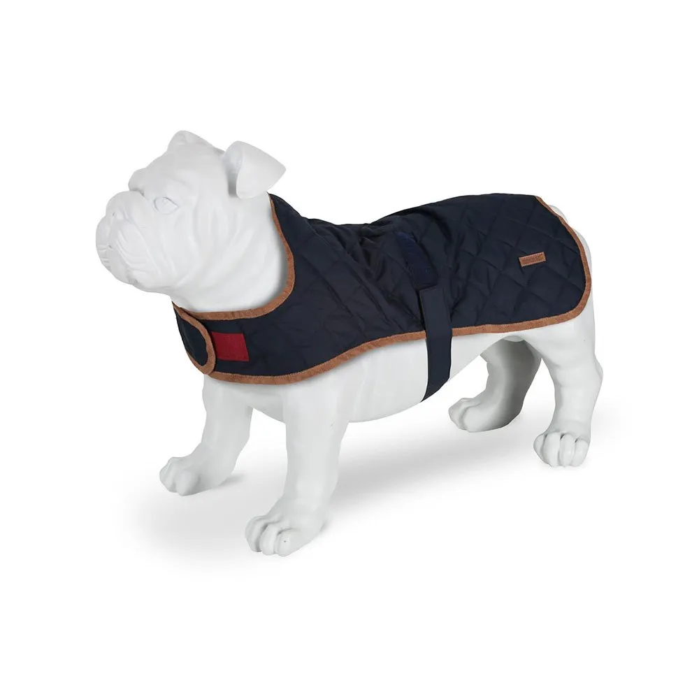 Regatta Odie Hundejacke Regatta Odie Hundejacke