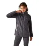 Seal grey