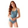 Jasmine flower blue