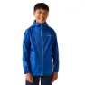Olympic blue / elysian blue