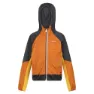 Regatta Prenton Ii Softshelljacke