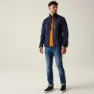 Regatta Romain Softshelljacke
