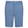 Coronet blue