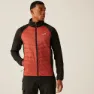 Regatta Sacramento X Jacke Refurbished, Red ochre / black