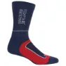 Navy / dark red