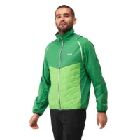 Regatta Steren Hybrid Softshelljacke Regatta Steren Hybrid Softshelljacke