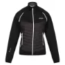 Regatta Steren Hybrid Softshelljacke