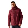 Dark maroon / black