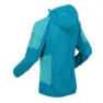 Regatta Tarvos Iv Softshelljacke