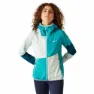 Regatta Tarvos Vi Softshelljacke