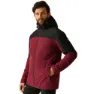 Dark maroon / black