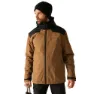 Nut brown / black