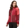 Burgundyd / rumba red