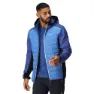 Strong blue / new royal