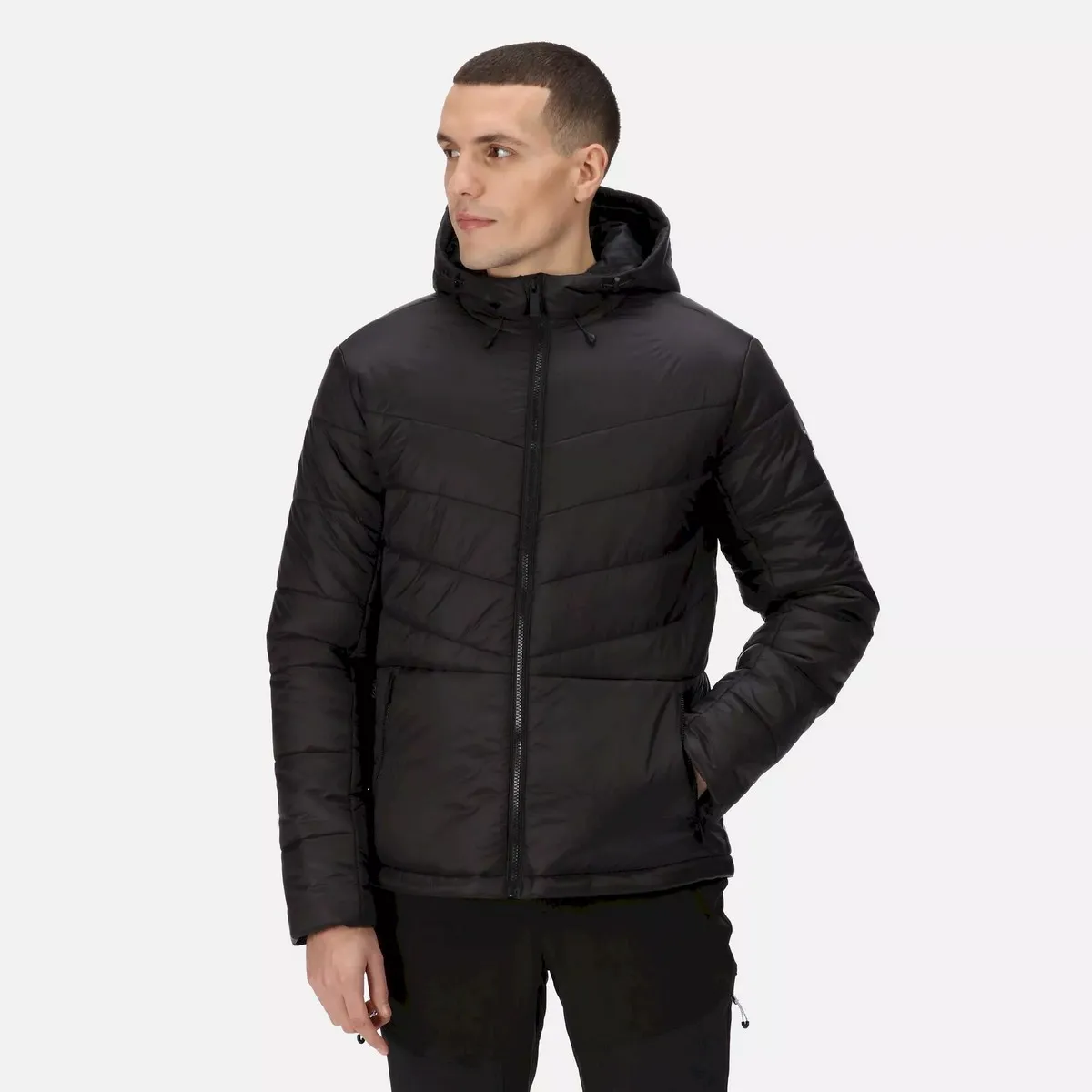 Regatta Volter Loft Iii Jacke Regatta Volter Loft Iii Jacke