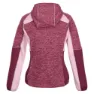 Regatta Walbury Iv Kapuzenfleece