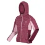 Regatta Walbury Iv Kapuzenfleece